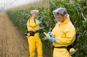 GMO hrvatska Monsanto otrov
