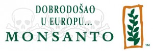 Monsanto dolazi u Europu unatoč upozorenjima i opasnosti – Bruxelles će odobriti prodaju GM kukuruza u EU !