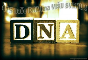 EVOLUCIJA: 97 posto našeg DNK ima višu svrhu i nije “smeće” kako govore znanstvenici