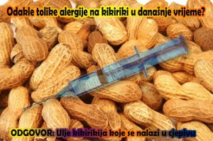 RAZOTKRIVENO: Kikiriki ulje u Cjepivu je Uzročnik Alergije na Kikiriki