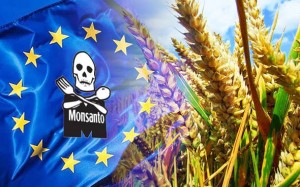 LAŽU NAS: GMO ne ide iz Europe, naprotiv Monsanto će patentirati cjelokupno europsko sjeme