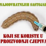 crv-gusjenica-cjepivo-cijepljenje 7 NAJODVRATNIJIH SASTOJAKA koji se koriste u proizvodnji cjepiva