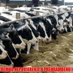 krava-farma RASTE EKSTREMNO NEPOVJERENJE U PREHRAMBENU INDUSTRIJU: Da vidim kravu mlijeka kojeg pijem