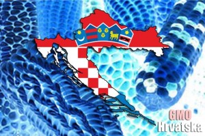 KUKURUZ PIONEER 1507 DOLAZI! Europa donosi GMO kukuruz na hrvatska polja!?
