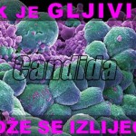 candida-rak-tumor INDUSTRIJA BOLESTI SKRIVA: RAK JE GLJIVIČNA INFEKCIJA!