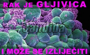 candida-rak-tumor INDUSTRIJA BOLESTI SKRIVA: RAK JE GLJIVIČNA INFEKCIJA!
