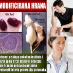 neplodnost-gmo-hrana NAJNOVIJA GMO ISTRAŽIVANJA: “Krajnji Rezultat Genetski Modificirane Hrane je SMRT”