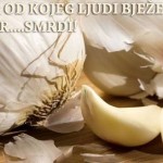 cesnjak-rak-tumor KARIKA KOJA NEDOSTAJE – Kako pobijediti rak uz pomoć češnjaka !