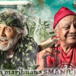 cheech-chong-marihuana ŠOKANTNO ISTRAŽIVANJE: Medicinska marihuana SMANJUJE kriminal, ubojstva i nasilne napade