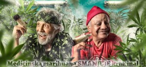 ŠOKANTNO ISTRAŽIVANJE: Medicinska marihuana SMANJUJE kriminal, ubojstva i nasilne napade