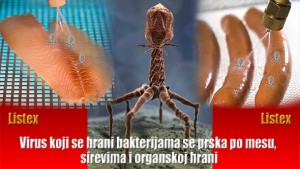 HRANA KAO ORUŽJE: Virus koji se hrani bakterijama se prska po mesu, sirevima i organskoj hrani