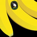 codex-alimentarius-gmo-hrana Codex Alimentarius je podvala!