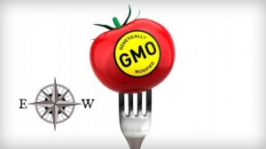 ANTI-GMO: Rusija uvodi najstrože kazne za neoznačavanje GMO hrane, a Ukrajina će biti ulaz GMO hrane u EU