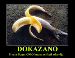 ISTRAŽIVANJE DOKAZALO: GMO hrana ne utječe na zdravlje životinja