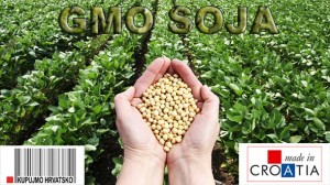 BOLEST NA SLAVONSKIM FARMAMA: U Hrvatskoj se ilegalno uzgaja zabranjena GMO soja