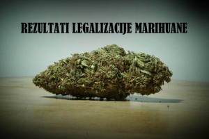 REZULTATI UVOĐENJA PRIRODNOG LIJEKA: Kakvo je stanje u Coloradu godinu dana nakon legalizacije marihuane