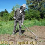 GMO-poljoprivreda NEVJEROJATAN I ŠOKANTAN OBRT: Farmeri masovno odustaju od GMO, jer je prirodna hrana isplativija i ima veći prinos
