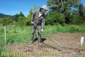 NEVJEROJATAN I ŠOKANTAN OBRT: Farmeri masovno odustaju od GMO, jer je prirodna hrana isplativija i ima veći prinos