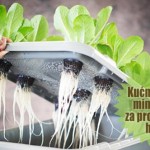 minifarma-hrana-uzgajanje Pokušajte ovo: Kućna jeftina mini farma za proizvodnju hrane – VIDEO