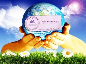 PRAVA ISTINA: Čemu služi Prehrambeni kodeks – Codex alimentarius?!