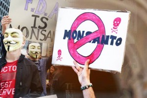 Globalni marš protiv Monsanta u 438 gradova na šest kontinenata – Hrvatska puna pesticida RoundUp, ali ne sudjeluje! Marširali su Ljubljana, Sarajevo, Banja Luka, Novi Sad i Beograd