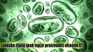 Revolucionarno otkriće: Ljudsko tijelo ipak može proizvoditi vitamin C!