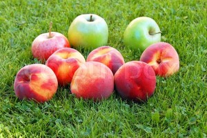 Jabuke i breskve najotrovnije: Voće i povrće sadrže pesticide koji mogu biti pogubni po vas!