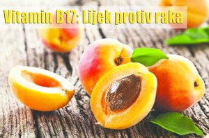 Vitamin B17: Lijek protiv raka koji je zataškan