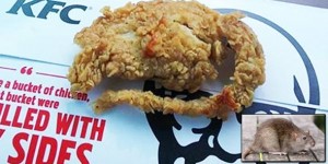 KFC IMA NOVI SPECIJALITET: Zavirio sam u pakiranje i uočio dugi rep na onome što su trebala biti pileća prsa