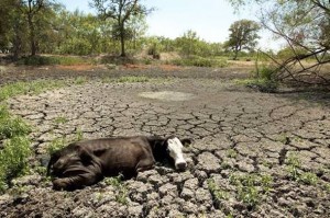 Evo što će se dogoditi ako ove abnormalne vrućine nastave pržiti Balkan! Tko jedini profitira od klimatskog kaosa!