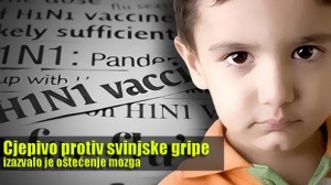 Cjepivo protiv svinjske gripe izazvalo je oštećenje mozga kod više od 800 djece širom Europe