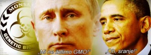 Zašto je Rusija toliko pametnija od Amerike kada je u pitanju GMO?