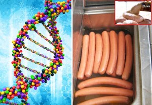 ŠOKANTNO ISTRAŽIVANJE: Ljudski DNA pronađen kao sastojak hrenovki, a vegetarijanske hrenovke sadrže meso