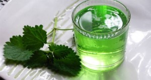 PRIRODNI ELIKSIR: Domaći sirup od koprive…(RECEPT)