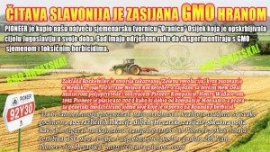 HRVATSKA JE GMO DRŽAVA! Inspekcija otkrila da nam je Država zatrovana GMO sojom, nitko ne zna u kojim količinama…