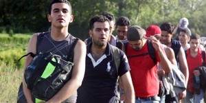 ŠOKANTNO UPOZORENJE: ‘Potreban je bolji spolni odgoj za naše djevojčice kako bi se znale nositi sa seksualno agresivnim muslimanskim izbjeglicama’