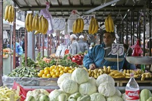 RASKRINKANA ZAVJERA STOLJEĆA: GMO pravi od nas kanibale!