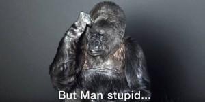 GLOBALISTI KORISTE GORILU U PROMIDŽBENE SVRHE KLIMATSKIH PROMJENA: Gorila Koko obratila se cijelom svijetu na znakovnom jeziku