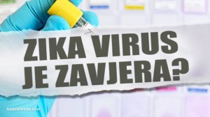 EKSKLUZIVNO: Zavjera oko Zika virusa razotkrivena od strane liječnika iz Južne Amerike! Oštećenje mozga uzrokuju kemikalije povezane s Monsantom