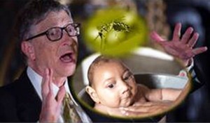 Rusija optužila Billa Gatesa da je stvorio Zika virus kao biološko oružje (VIDEO)