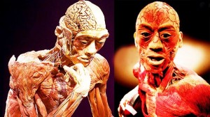 20 fascinantnih činjenica o ljudskom tijelu!
