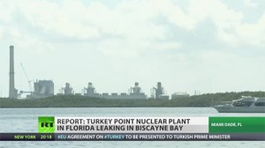 NE BRINITE, OVO VAM MEDIJI NEĆE REĆI: Iz nuklearne elektrane na Floridi curi radioaktivni materijal u Atlantski ocean