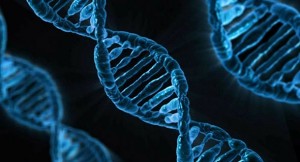 Genetički inženjering – oružje za masovno uništenje
