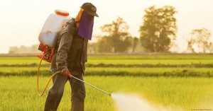 KANCEROGENI GLIFOSAT: Europska komisija odlučila ignorirati mišljenje WHO-a o ovom herbicidu