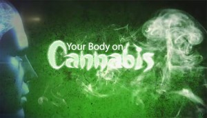 Što se događa sa vašim tijelom i mozgom kada pušite marihuanu (DOKUMENTARNI VIDEO)