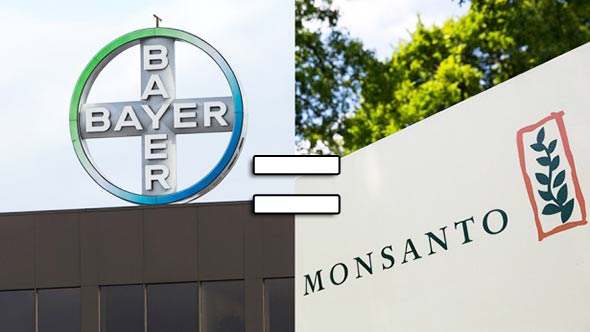 bayer-monsanto-gmo