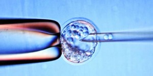 VELIKI ‘USPJEH’ ZNANSTVENIKA: U laboratoriju razvili ljudski embrij do 13. dana