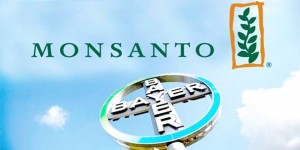 Monsanto i Bayer: Monopolističko korporativno čudovište u nastajanju?