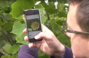 KRENITE U PRIRODU – REVOLUCIONARNA APLIKACIJA KOJA ĆE IDENTIFICIRATI SVE BILJKE SA FOTOGRAFIJE