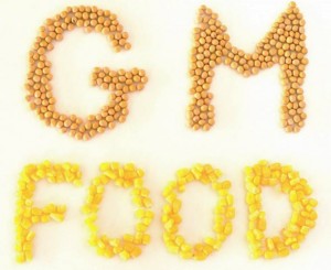 GMO je moćno oružje za gomilanje zarade, trovanje ljudi i porobljavanje svijeta